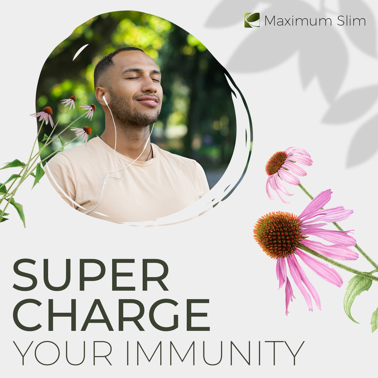 Immunity Tea Immunity Tea