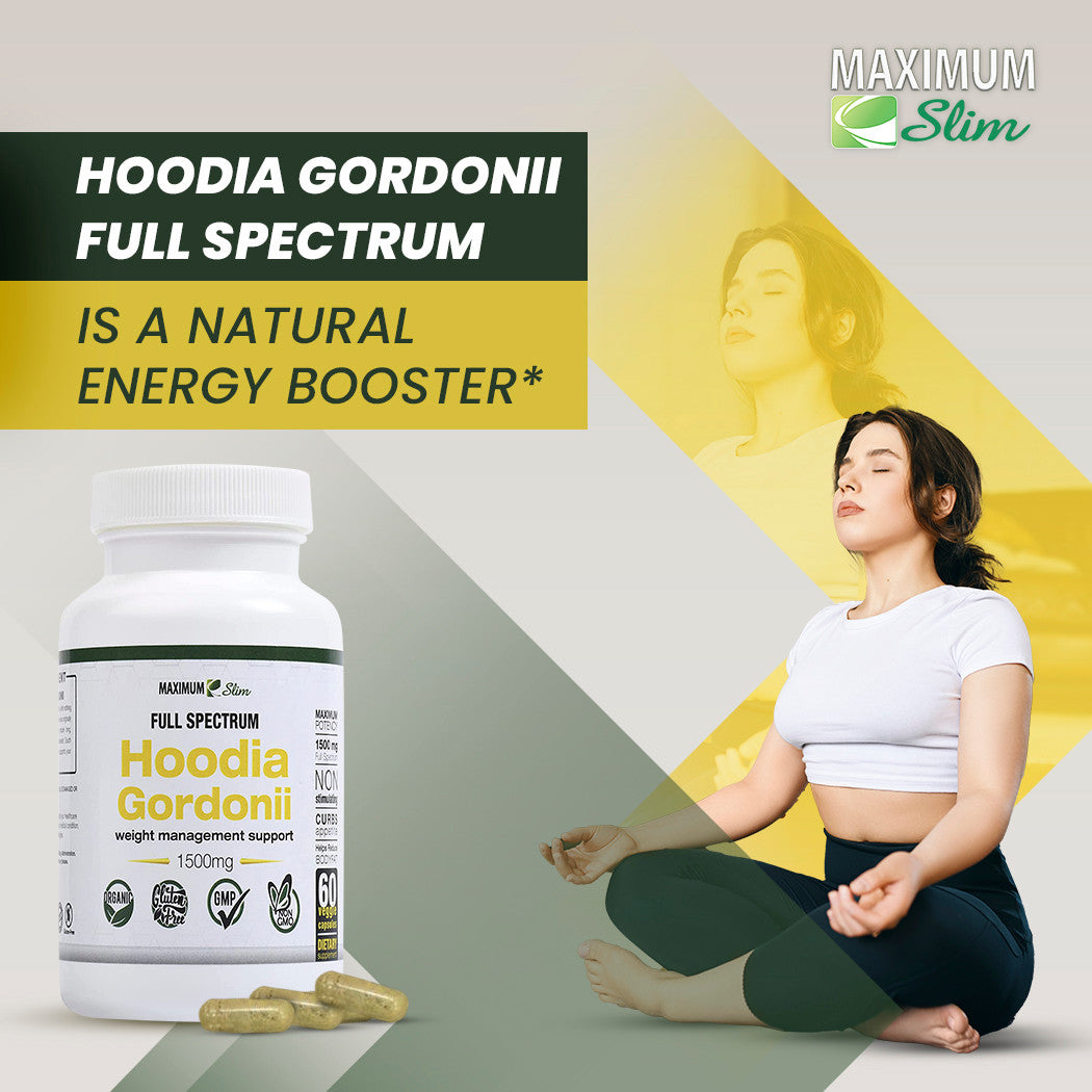 Maximum Slim Hoodia Gordonii Full Spectrum Maximum Slim Hoodia Gordonii Full Spectrum