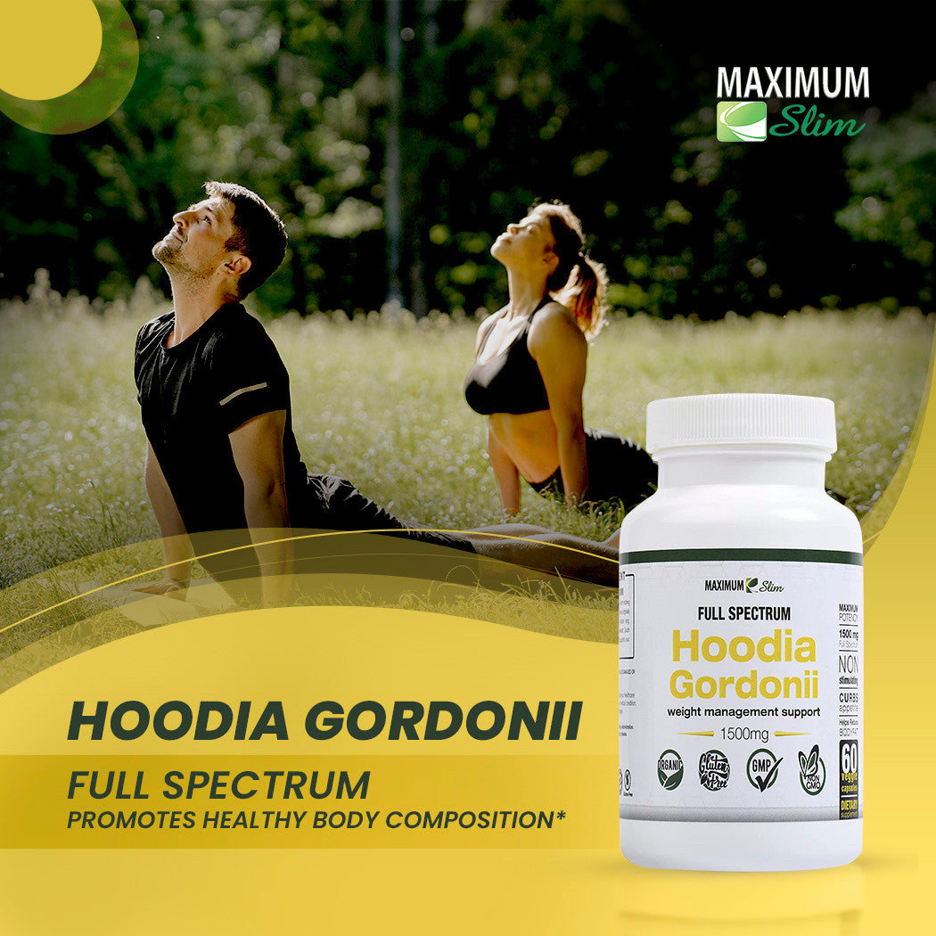 Maximum Slim Hoodia Gordonii Full Spectrum Maximum Slim Hoodia Gordonii Full Spectrum