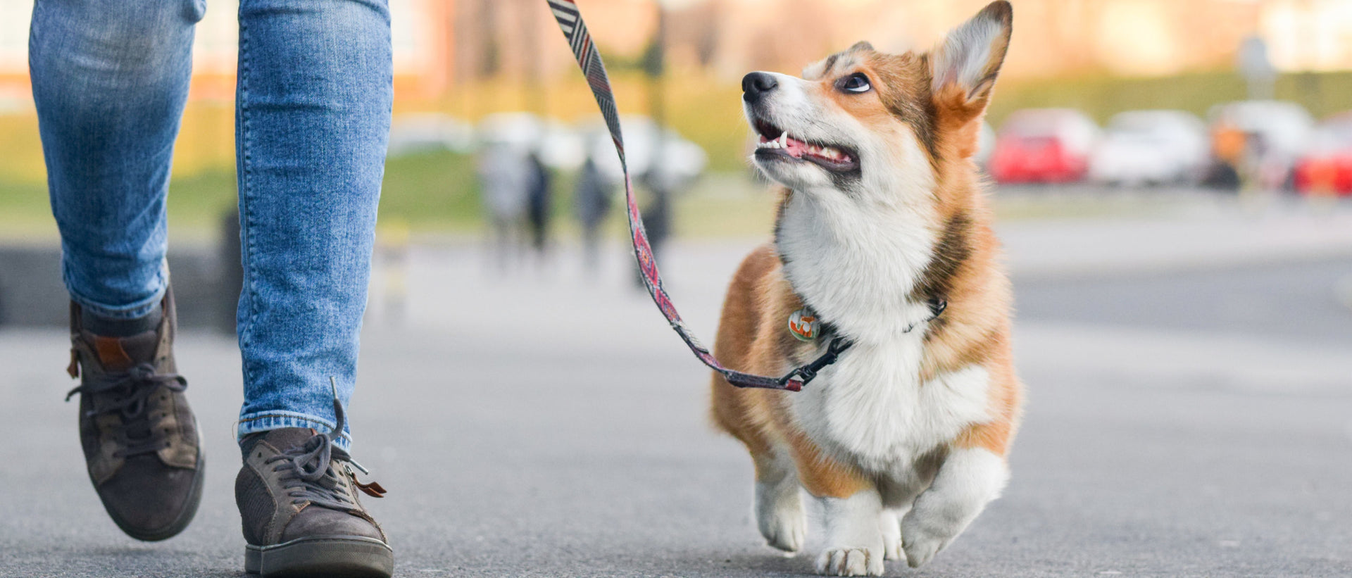 How Simply Walking More Can Help You Lower Your Blood Pressure